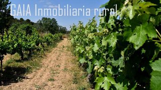 Casa rural en venta en Caspe
