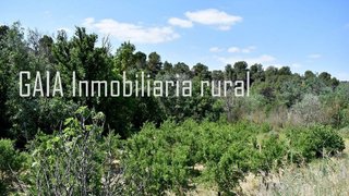 Casa rural en venta en Caspe