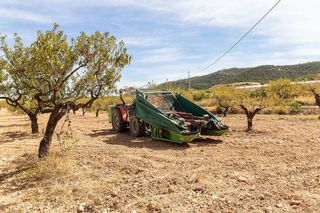 Casa en venta en Bullas