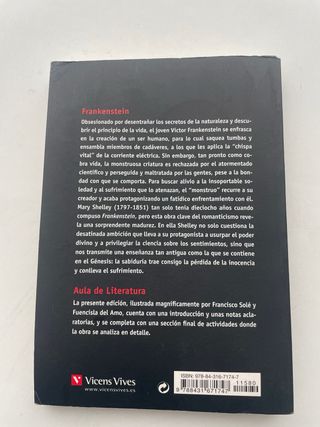 Frankenstein - Aula De Literatura (Spanish Edit...