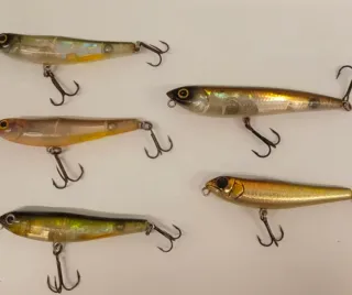 Paseante pesca