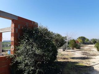 Terreno en venta en Librilla