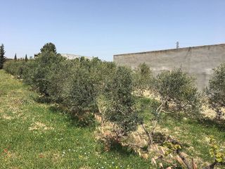 Terreno en venta en Montblanc