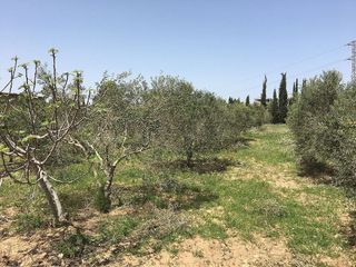 Terreno en venta en Montblanc