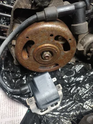 Plato magnético Derbi Variant