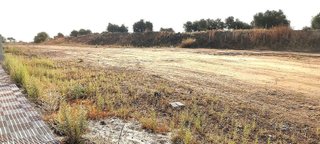 Terreno en venta en Olías del Rey
