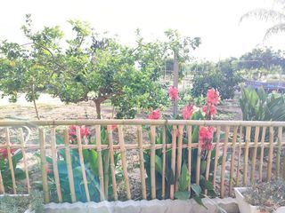 Terreno en venta en Sueca ciudad en Sueca