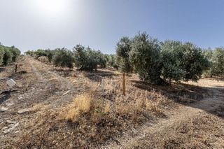 Terreno en venta en Montefrío