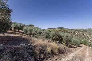 Terreno en venta en Montefrío