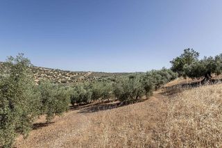 Terreno en venta en Montefrío