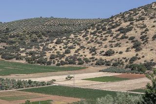 Terreno en venta en Montefrío