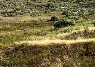 Terreno en venta en Mogán pueblo en Mogán