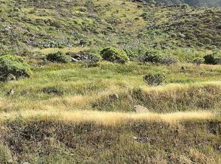 Terreno en venta en Mogán pueblo en Mogán