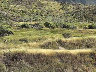 Terreno en venta en Mogán pueblo en Mogán