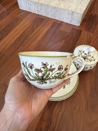 Juego de ceramica botánica San Claudio
