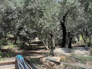 Terreno en venta en Villanueva de Córdoba