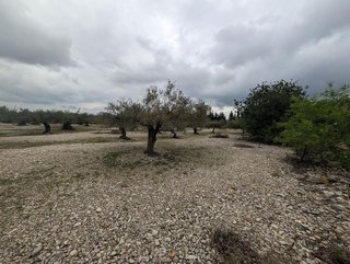 Terreno en venta en Traiguera