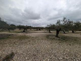 Terreno en venta en Traiguera