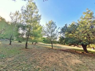 Terreno en venta en Vilamarxant