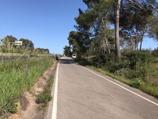 Terreno en venta en Algaida