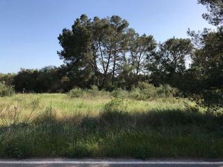 Terreno en venta en Algaida