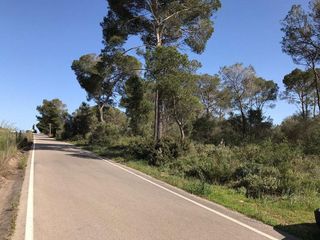 Terreno en venta en Algaida