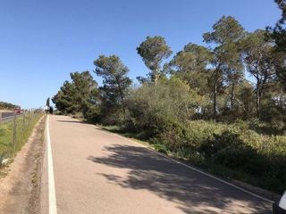 Terreno en venta en Algaida