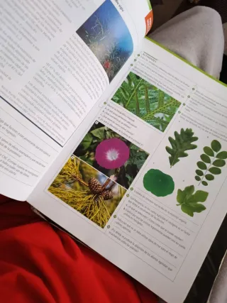 BIOLOGIA Y GEOLOGIA 1º BACHILLERATO