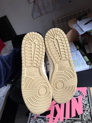 Nike Dunk SB Travis Scott