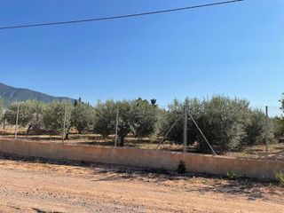 Casa rural en venta en Librilla