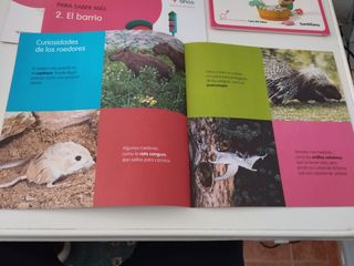 3 libros de lectura + libro salud + CD musica. 4Añ