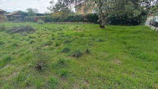 Terreno en venta en Miraflores de la Sierra