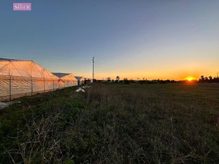Terreno en venta en Conil en Conil de la Frontera