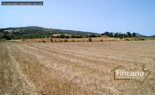 Terreno en venta en Manacor Centro en Manacor