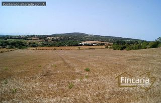 Terreno en venta en Manacor Centro en Manacor