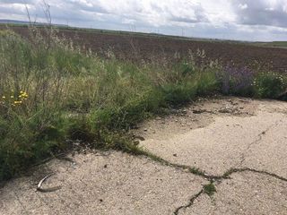 Terreno en venta en Torrejón de la Calzada