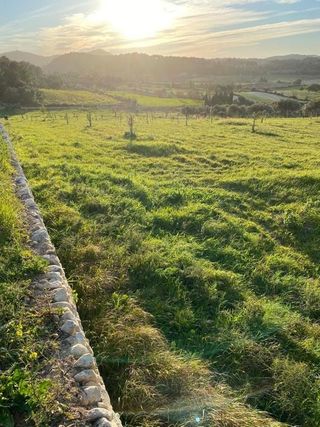 Solar en venta en Algaida