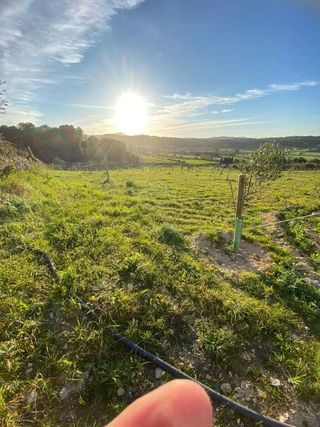 Solar en venta en Algaida