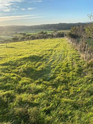 Solar en venta en Algaida
