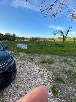 Solar en venta en Algaida