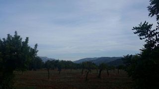 Terreno en venta en Bunyola