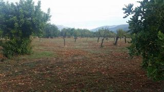 Terreno en venta en Bunyola