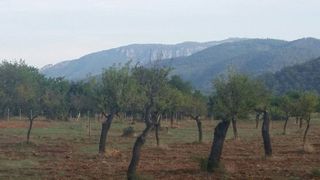 Terreno en venta en Bunyola