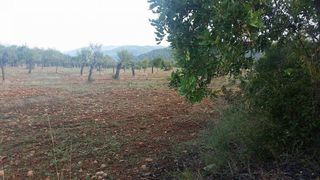 Terreno en venta en Bunyola