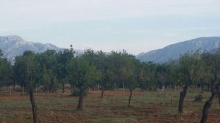 Terreno en venta en Bunyola