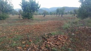 Terreno en venta en Bunyola