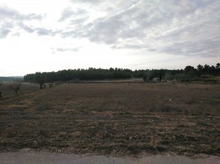 Solar en venta en Almansa