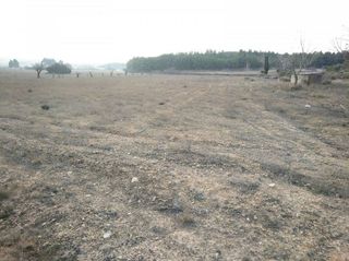 Solar en venta en Almansa