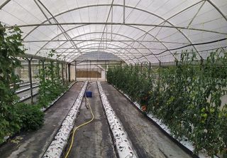 Terreno en venta en Martutene en San Sebastián-Donostia