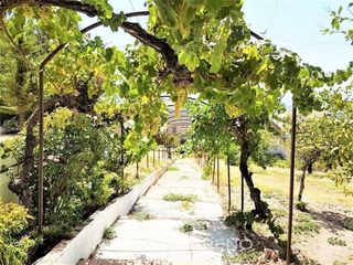 Local comercial en venta en Rute